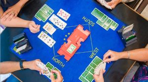 Bridge Senioren Vlierden